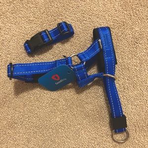 Goodboy dog head halter